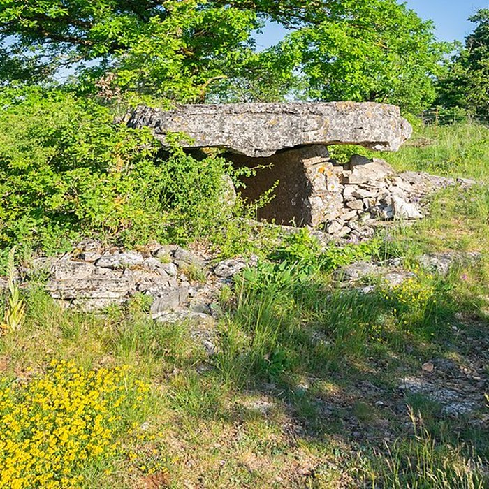 Photo de Dolmen de la Fabière à La Cavalerie
