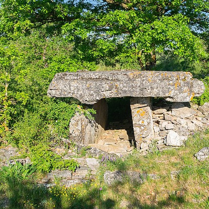 Photo de Dolmen de la Fabière à La Cavalerie