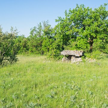 Dolmen de la Fabière à La Cavalerie