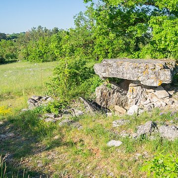 Dolmen de la Fabière à La Cavalerie