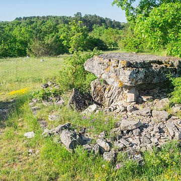 Dolmen de la Fabière à La Cavalerie