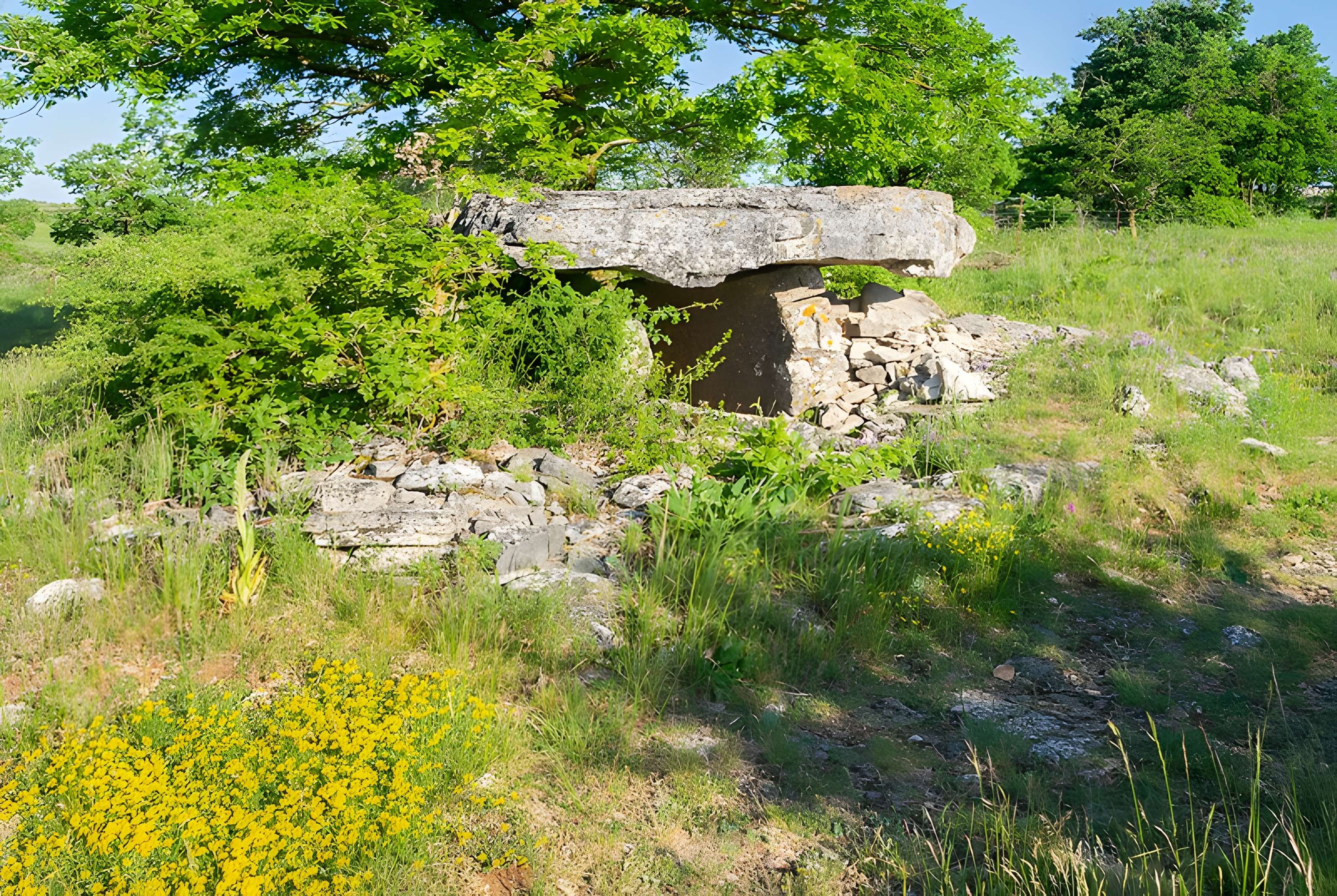 Dolmen de la Fabière à La Cavalerie