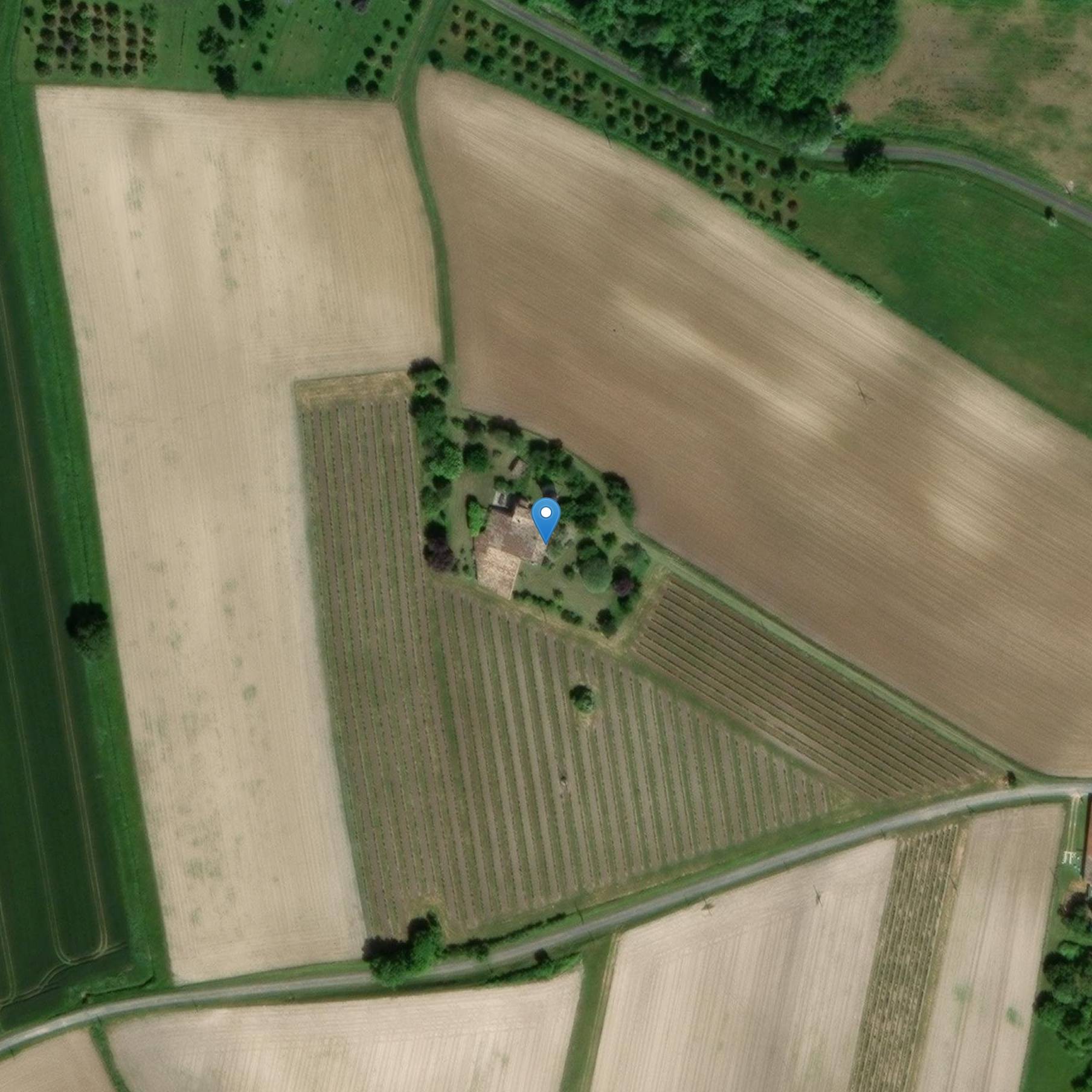 Photo de Mulino a vento