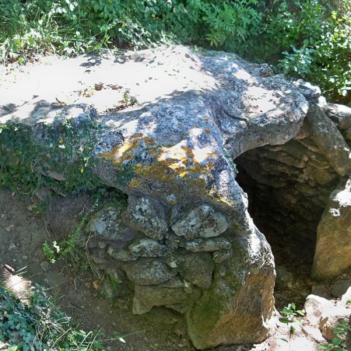 Photo de Dolmen de la Pichone à Ménerbes