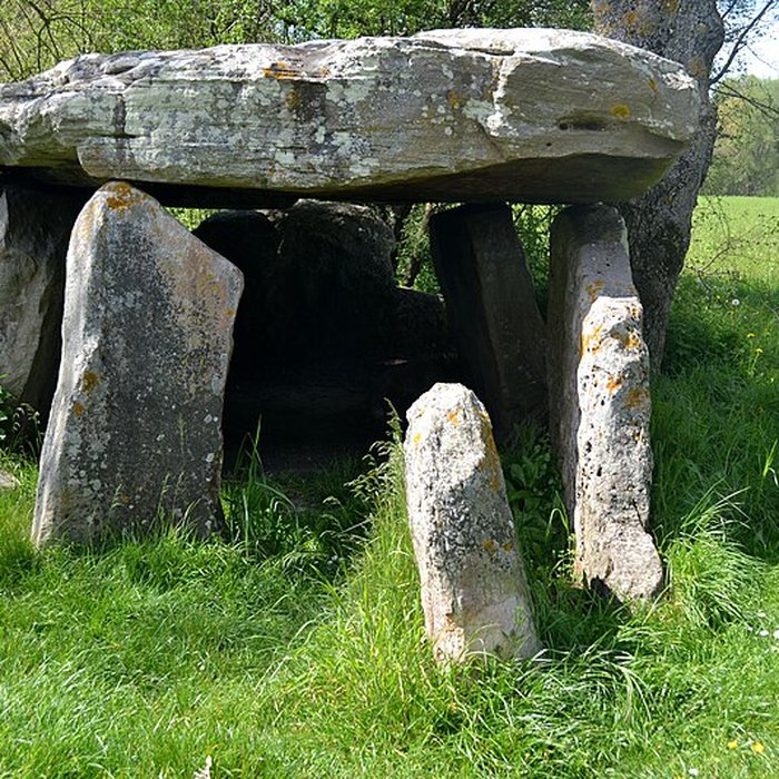 Photo de Dolmen de la Pierre Cesée à Soucelles