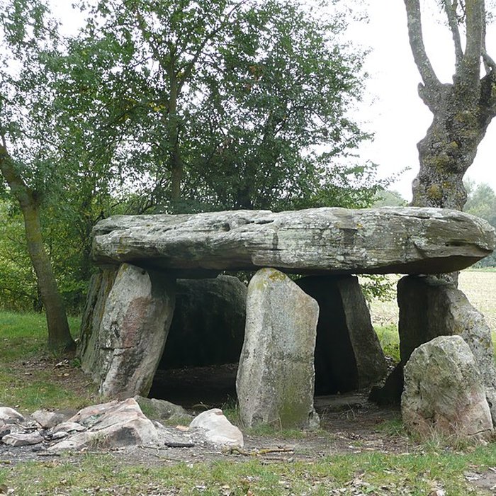Photo de Dolmen de la Pierre Cesée à Soucelles