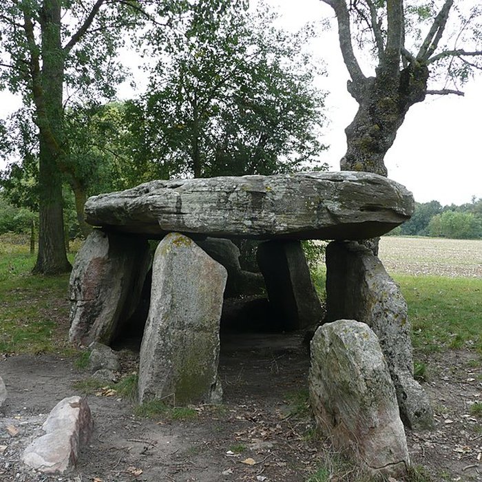 Photo de Dolmen de la Pierre Cesée à Soucelles