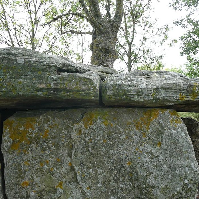 Photo de Dolmen de la Pierre Cesée à Soucelles