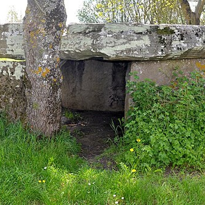 Photo de Dolmen de la Pierre Cesée à Soucelles