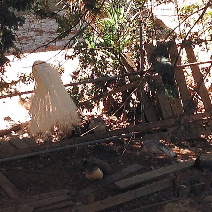 Photo de Ensemble historique et archéologique de la cité épiscopale et canoniale de Maguelone