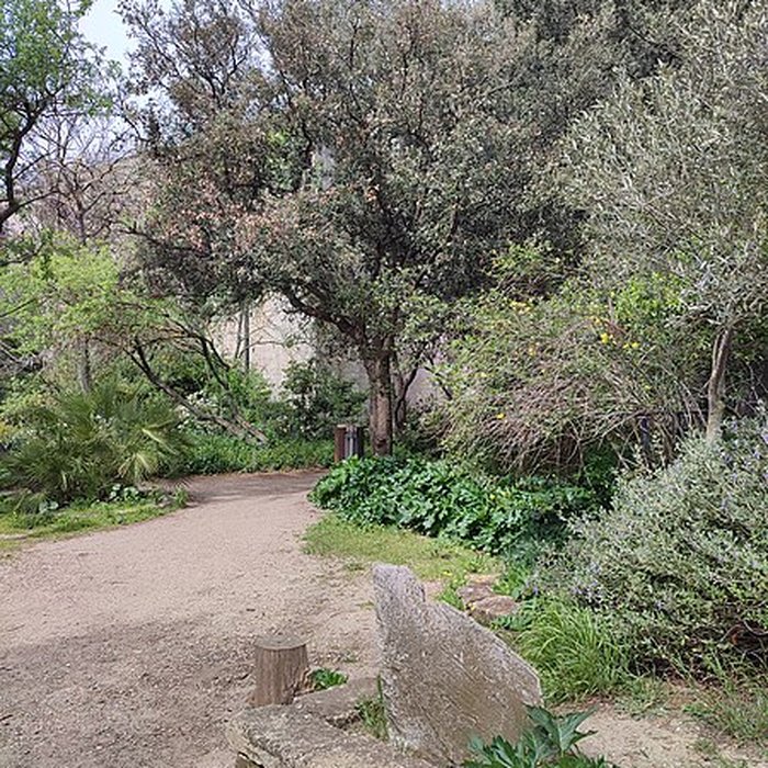 Photo de Ensemble historique et archéologique de la cité épiscopale et canoniale de Maguelone