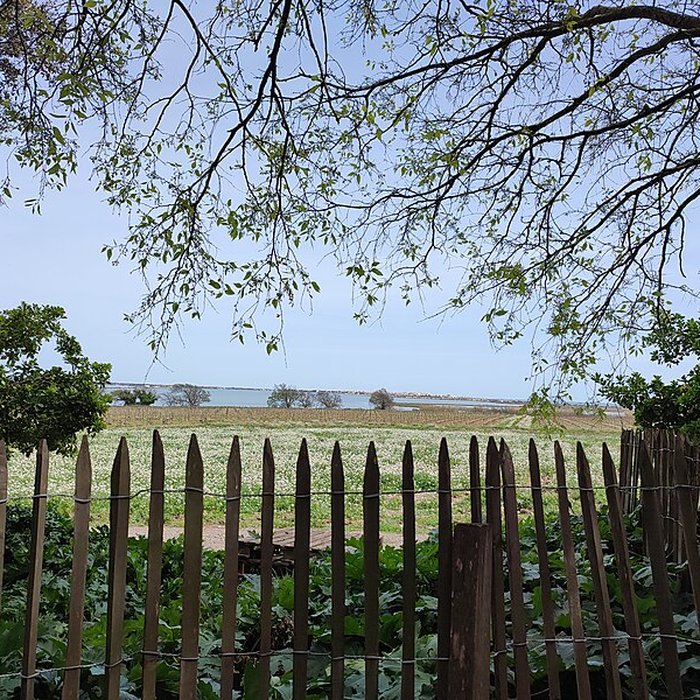Photo de Ensemble historique et archéologique de la cité épiscopale et canoniale de Maguelone