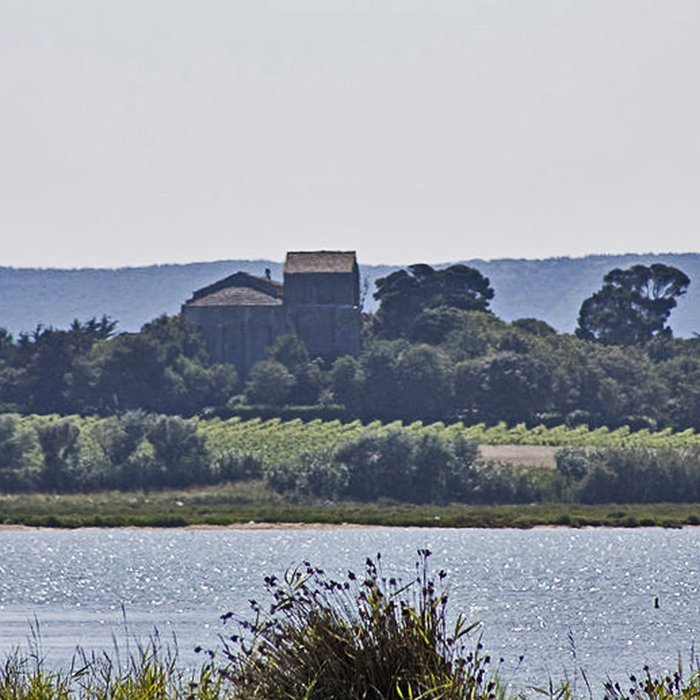 Photo de Ensemble historique et archéologique de la cité épiscopale et canoniale de Maguelone