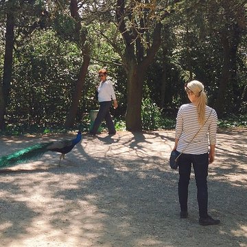 Ensemble historique et archéologique de la cité épiscopale et canoniale de Maguelone