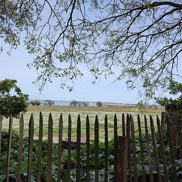 Ensemble historique et archéologique de la cité épiscopale et canoniale de Maguelone