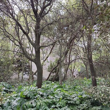 Ensemble historique et archéologique de la cité épiscopale et canoniale de Maguelone