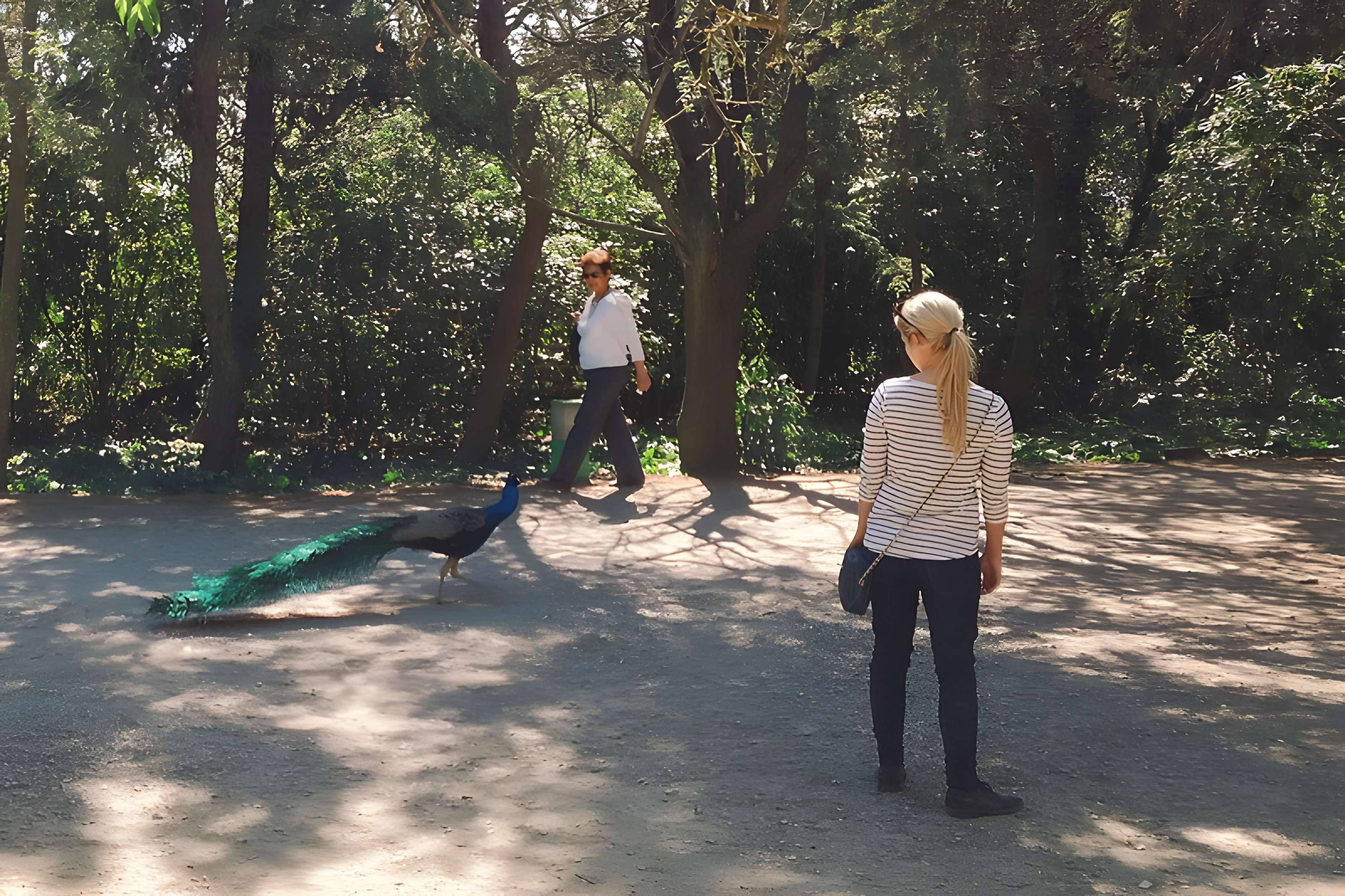 Ensemble historique et archéologique de la cité épiscopale et canoniale de Maguelone