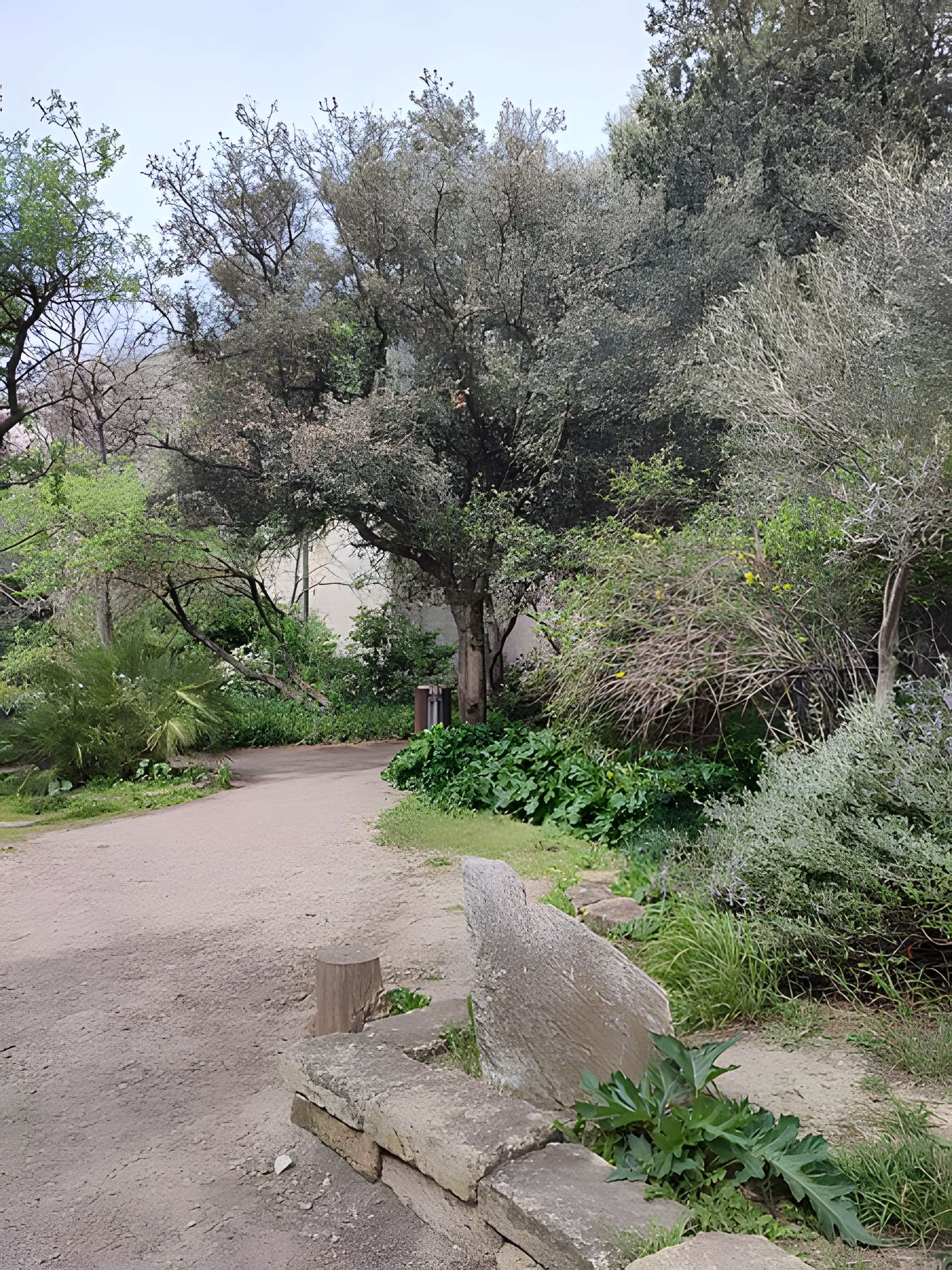 Ensemble historique et archéologique de la cité épiscopale et canoniale de Maguelone