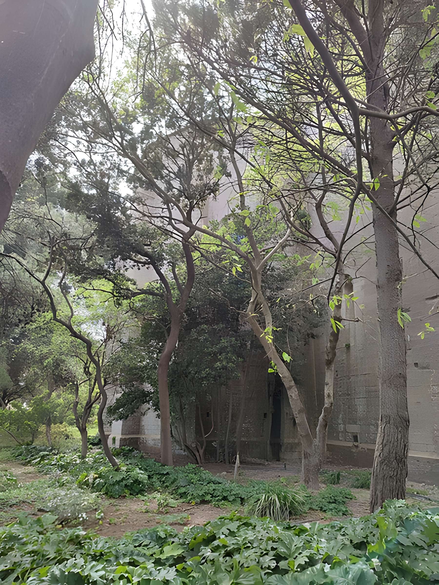 Ensemble historique et archéologique de la cité épiscopale et canoniale de Maguelone