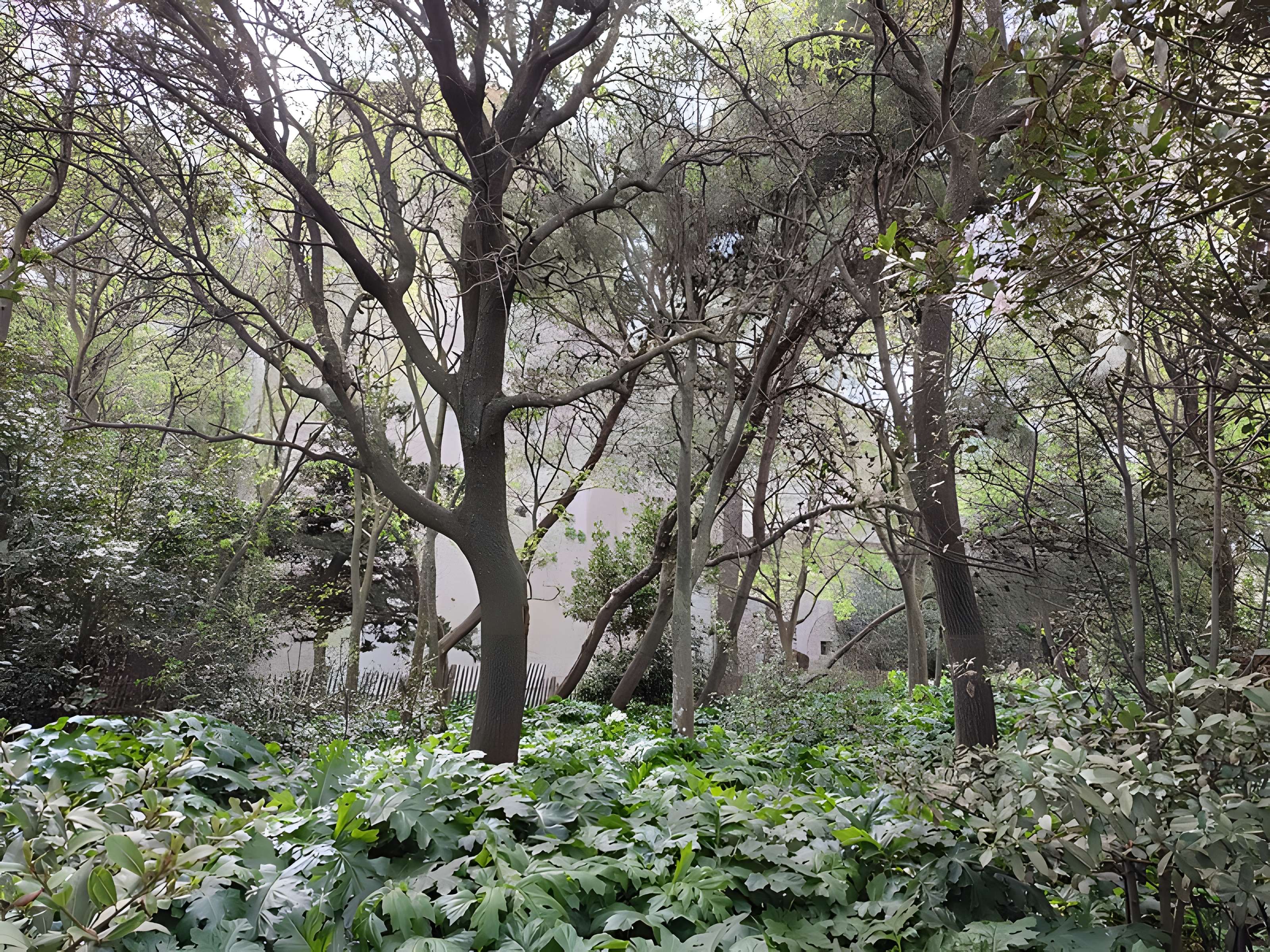 Ensemble historique et archéologique de la cité épiscopale et canoniale de Maguelone