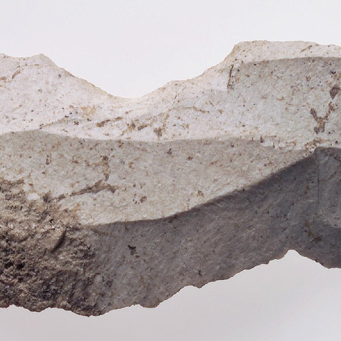 Photo de Dolmen de la pointe de la Torche à Plomeur