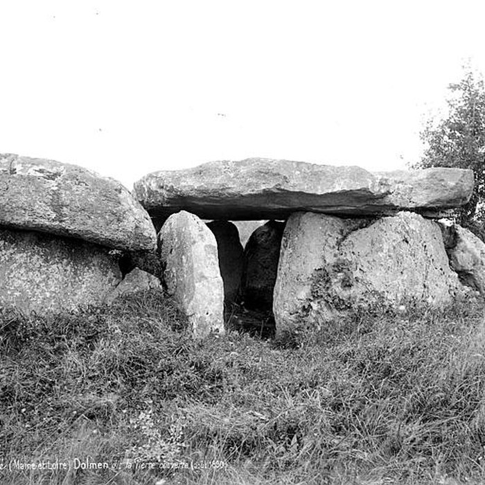 Photo de Dolmen de Pierre Couverte à Baugé-en-Anjou