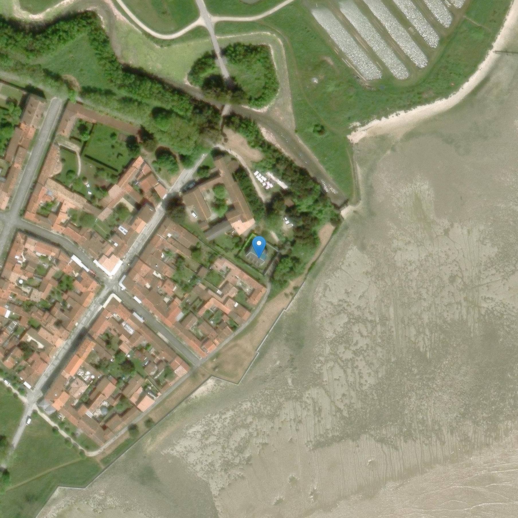 Photo de 村の粉末植物