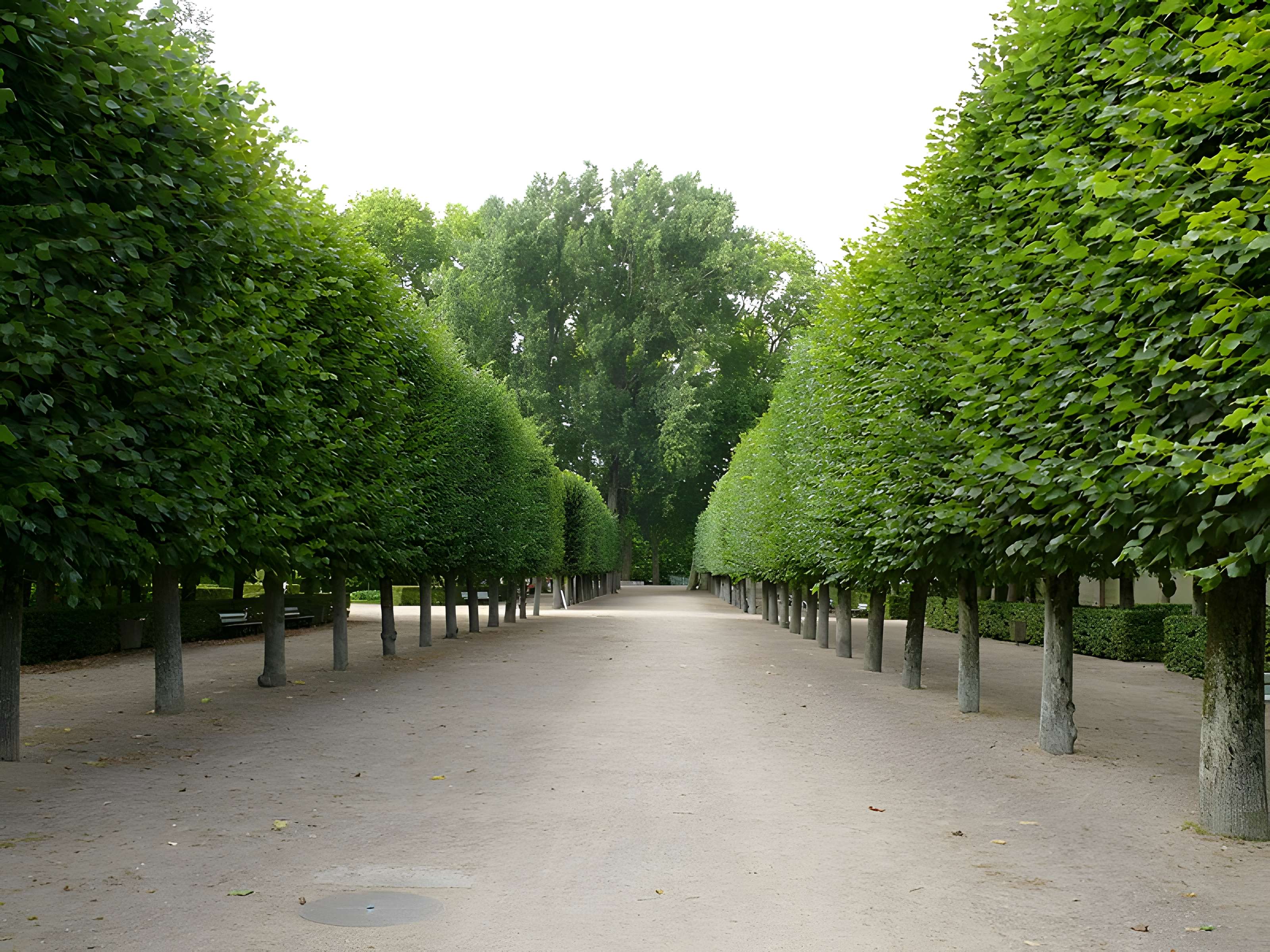 Jardin des Prés Fichaux