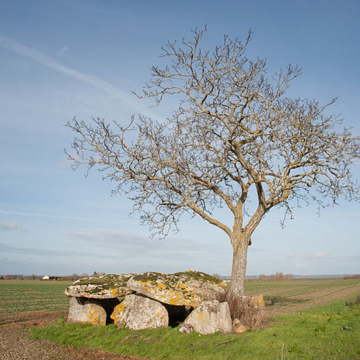Photo de Dolmen de Vaon aux Trois-Moutiers