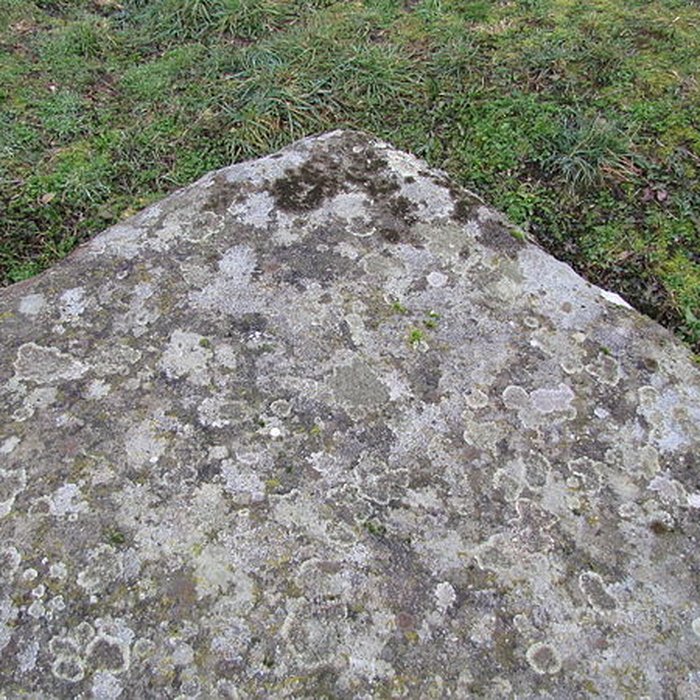 Photo de Dolmen des Bignes à Habloville