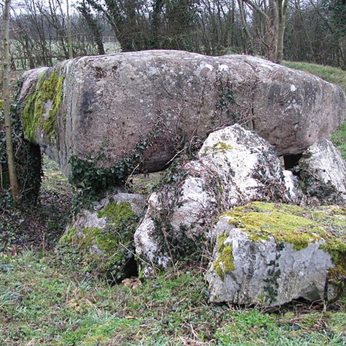 Photo de Dolmen des Bignes à Habloville