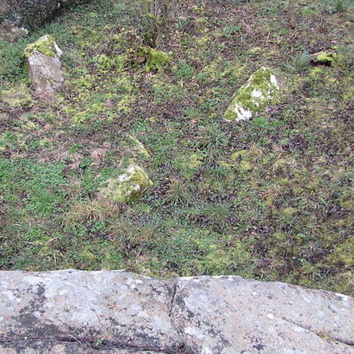 Photo de Dolmen des Bignes à Habloville