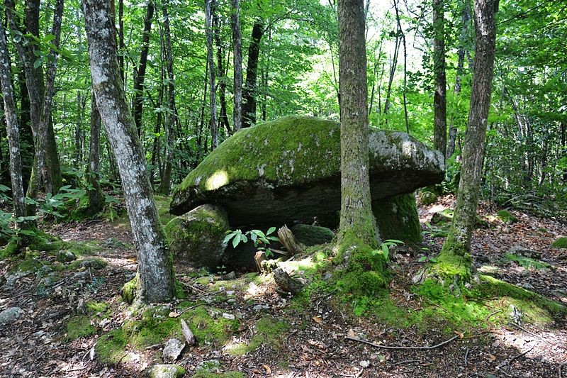 Photo de Dolmen du Bois de la Lieue à Ambazac