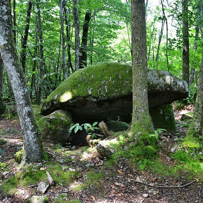 Photo de Dolmen du Bois de la Lieue à Ambazac