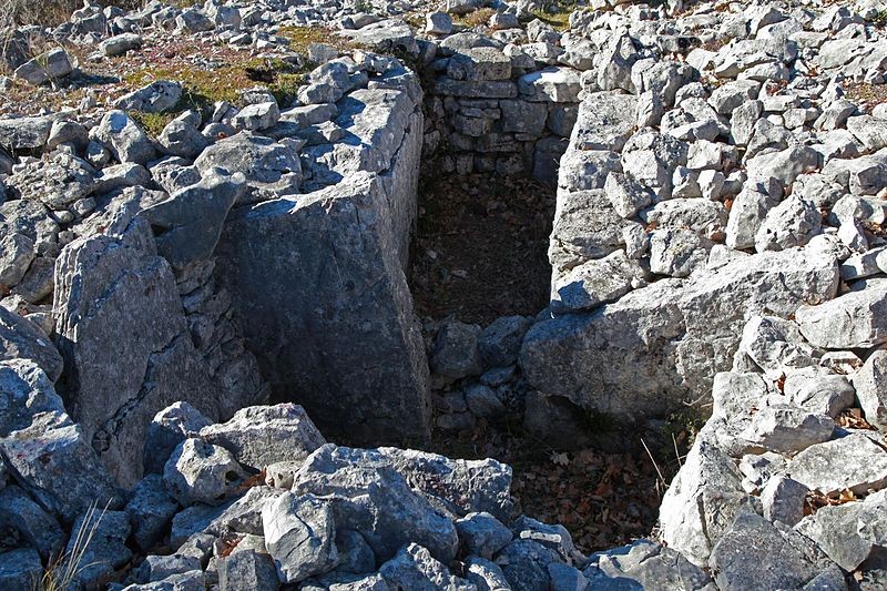 Photo de Dolmen et Tombe en blocs de Mauvans Sud à Saint-Cézaire-sur-Siagne