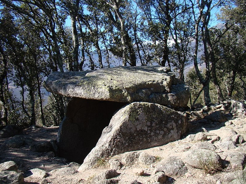 Photo de Dolmen La Caixa de Rotllan à Arles-sur-Tech