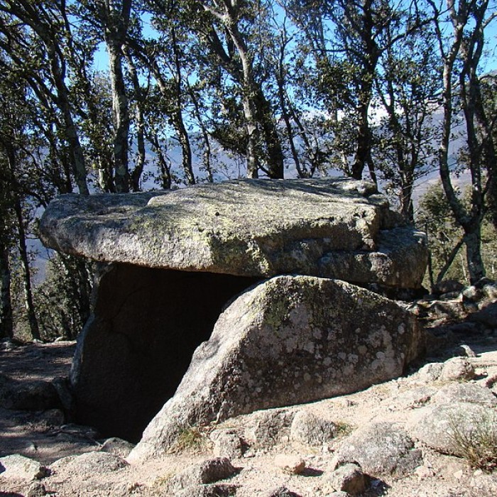 Photo de Dolmen La Caixa de Rotllan à Arles-sur-Tech