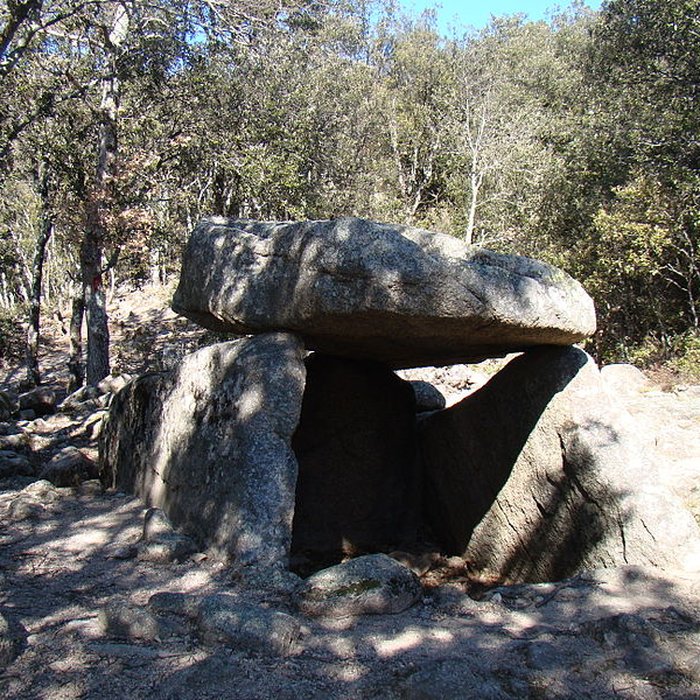 Photo de Dolmen La Caixa de Rotllan à Arles-sur-Tech