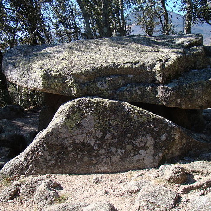 Photo de Dolmen La Caixa de Rotllan à Arles-sur-Tech