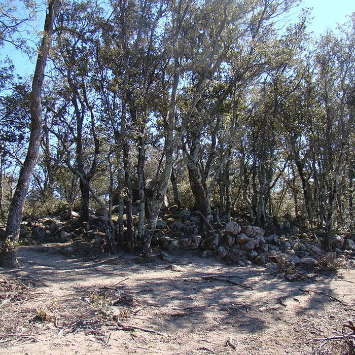 Photo de Dolmen La Caixa de Rotllan à Arles-sur-Tech