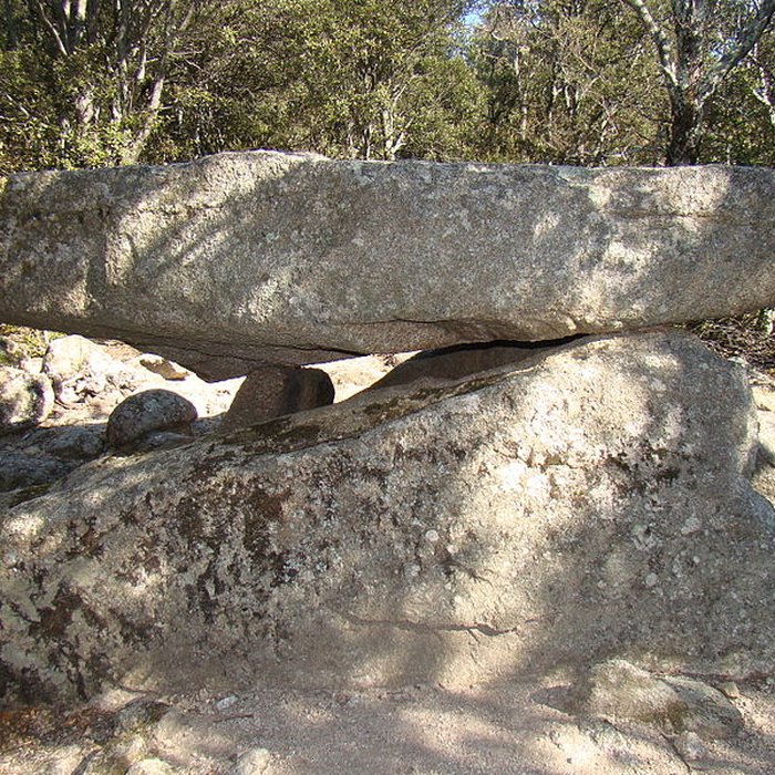 Photo de Dolmen La Caixa de Rotllan à Arles-sur-Tech
