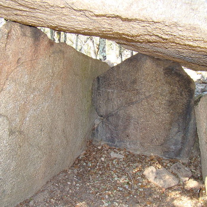 Photo de Dolmen La Caixa de Rotllan à Arles-sur-Tech