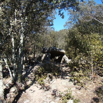 Dolmen La Caixa de Rotllan à Arles-sur-Tech