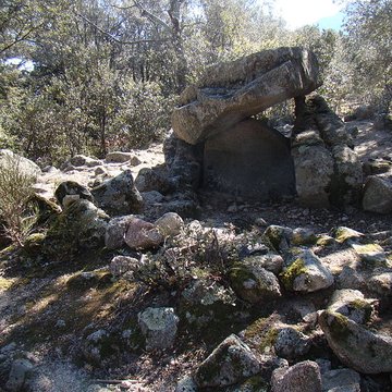 Dolmen La Caixa de Rotllan à Arles-sur-Tech