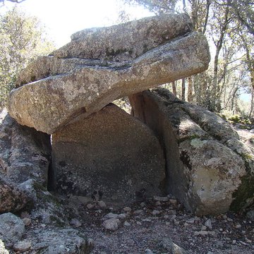Dolmen La Caixa de Rotllan à Arles-sur-Tech