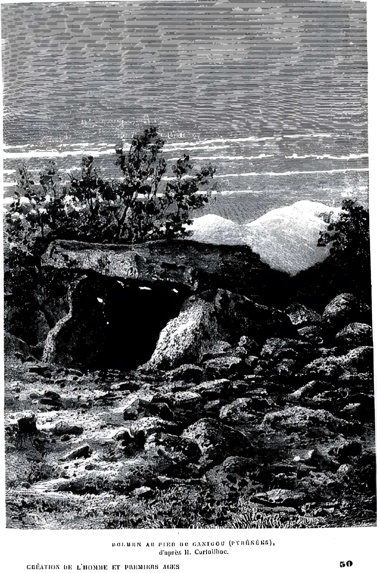 Dolmen La Caixa de Rotllan à Arles-sur-Tech