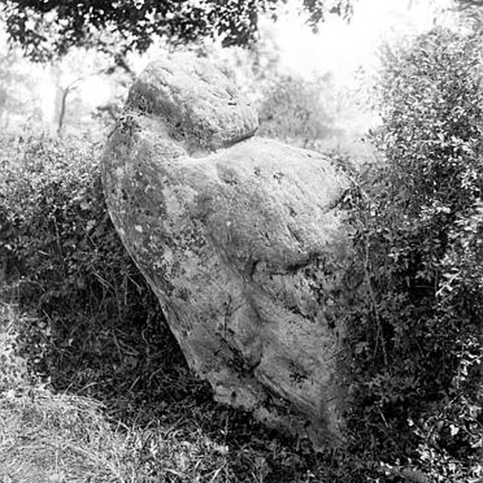 Photo de Menhir dit La Pierre à la Femme