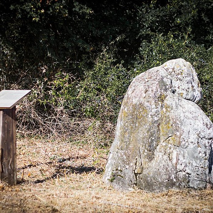 Photo de Menhir dit La Pierre à la Femme
