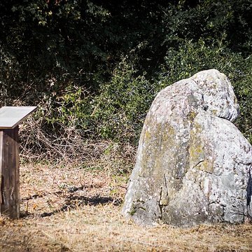 Menhir dit La Pierre à la Femme