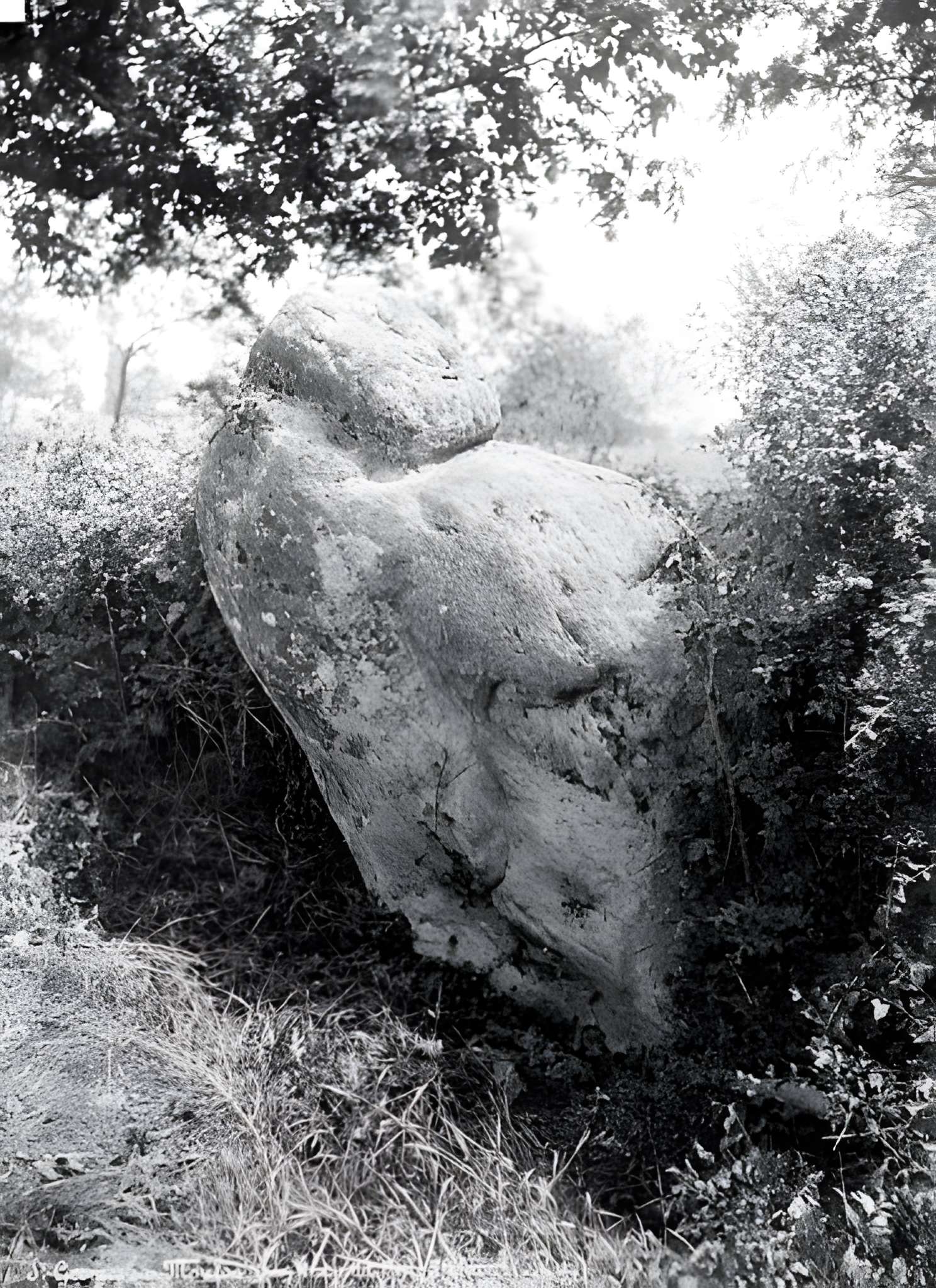 Menhir dit La Pierre à la Femme